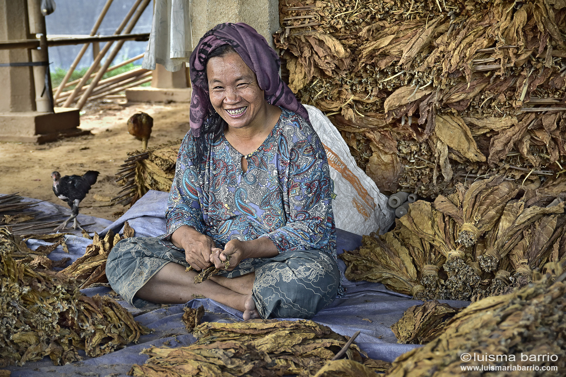 cambodian woman